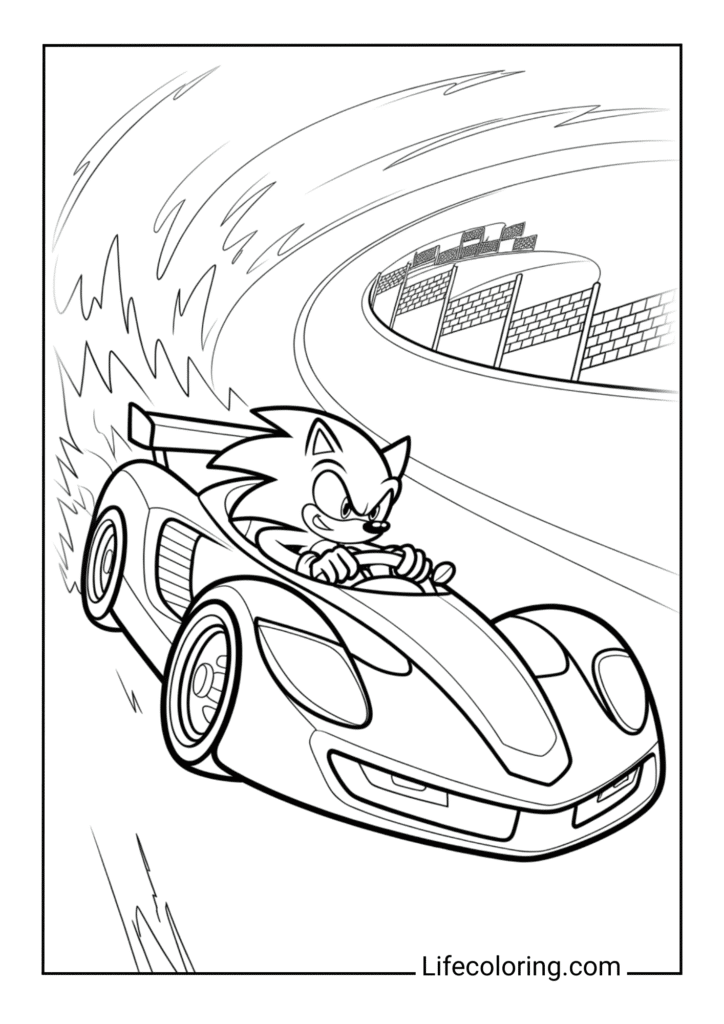 Sonic Racing in a Car