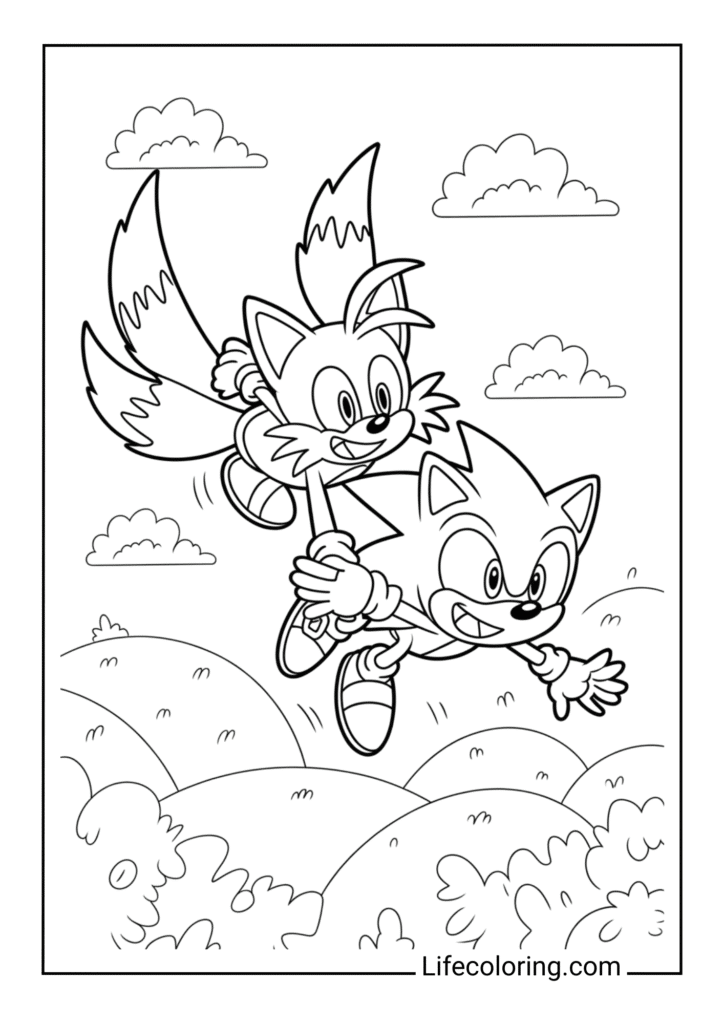 Sonic with tails friend